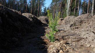 Фото из архива