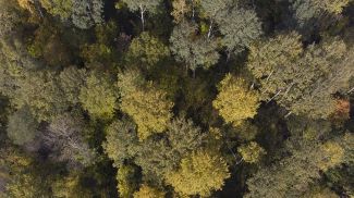 Фото из архива