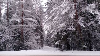 Фото из архива