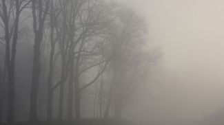 Фото из архива