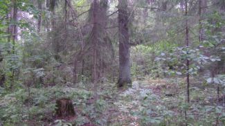 Фото minpriroda.gov.by