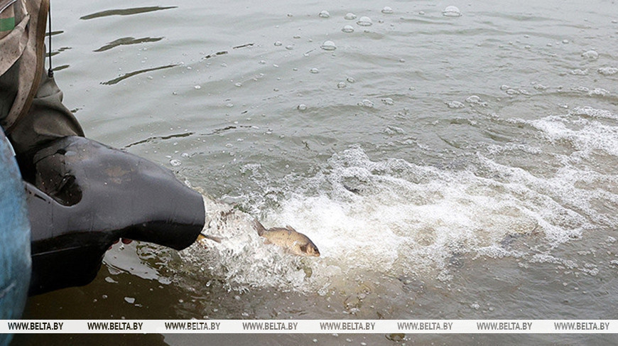 Фото из архива