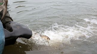 Фото из архива