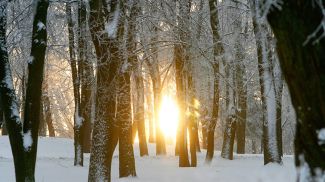 Фото из архива