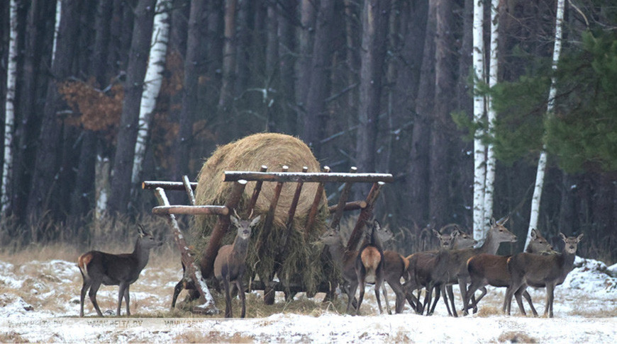 Фото из архива