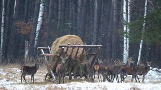 Фото из архива