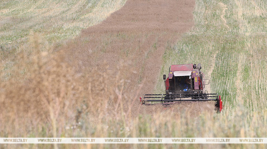 Фото из архива