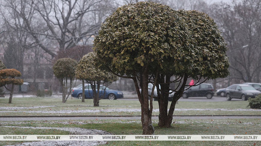 Фото из архива