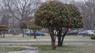 Фото из архива