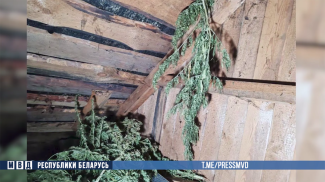 Скриншот видео МВД