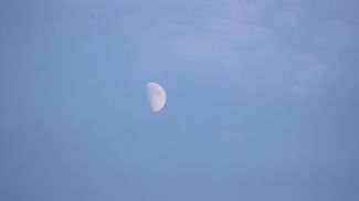 Фото из архива