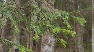 Фото из архива