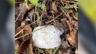 Скриншот видео МВД