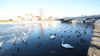 Фото из архива