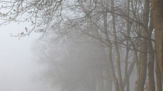 Фото из архива