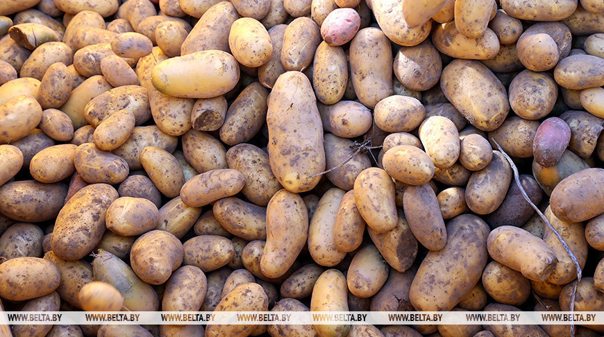 Фото из архива