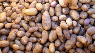 Фото из архива