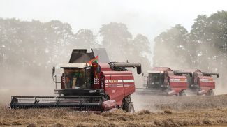 Фото из архива