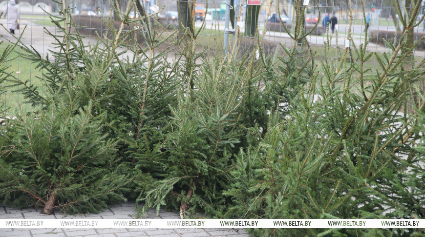 Фото из архива