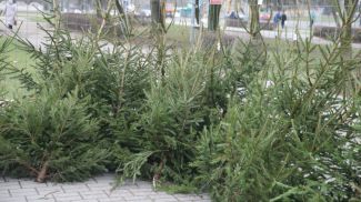 Фото из архива