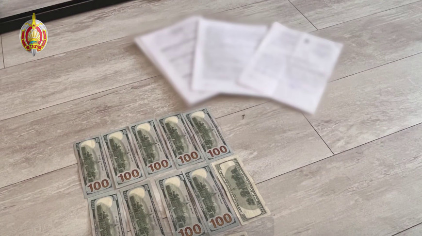 Скриншот видео МВД