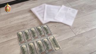 Скриншот видео МВД