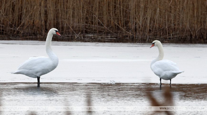 Фото из архива