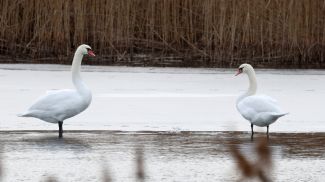 Фото из архива