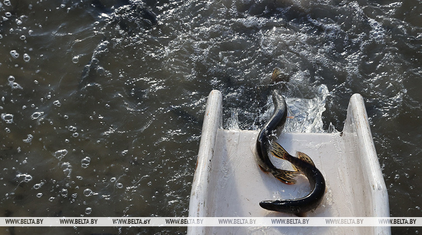 Фото из архива