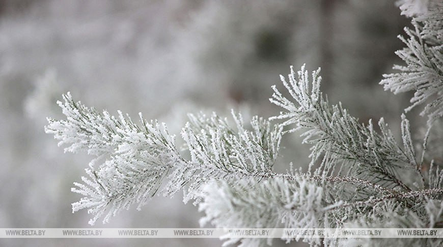 Фото из архива
