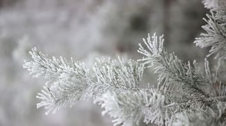 Фото из архива