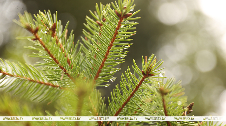 Фото из архива