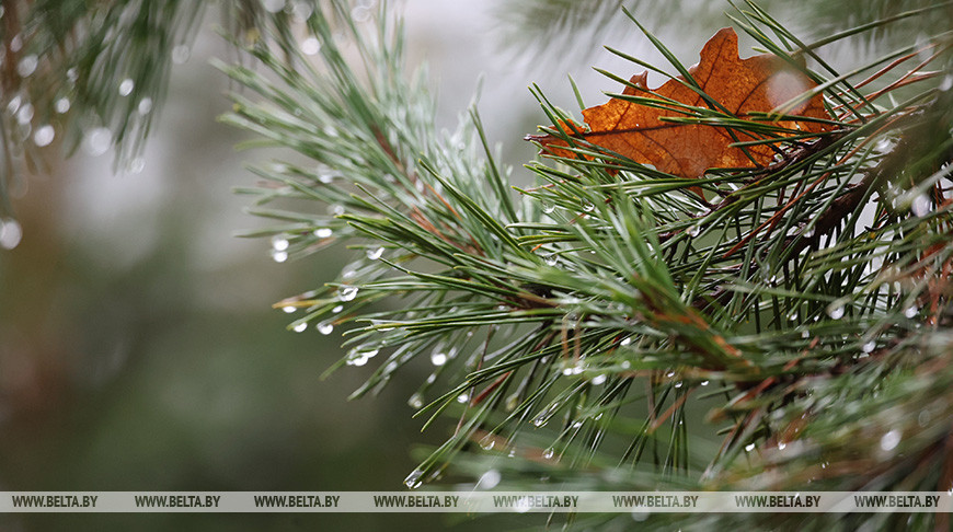 Фото из архива