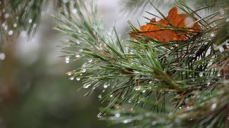 Фото из архива