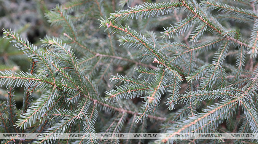 Фото из архива