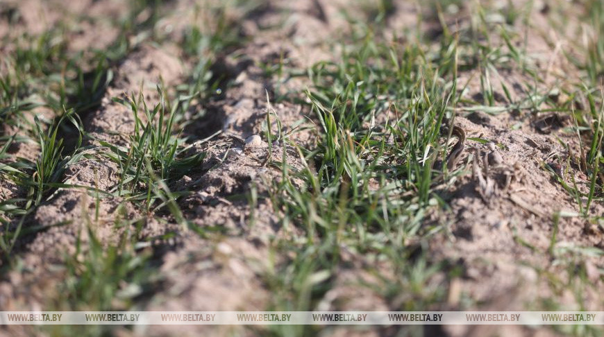 Фото из архива