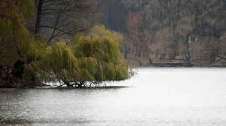 Фото из архива