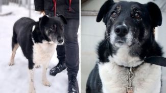 Фото Гродненского зоопарка