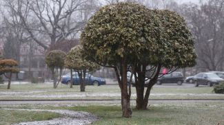 Фото из архива