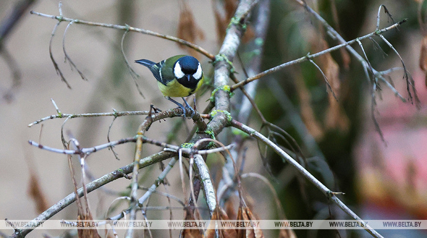 Фото из архива