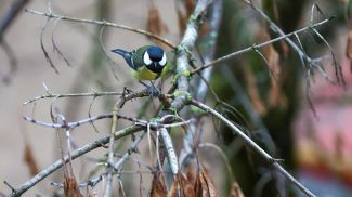 Фото из архива