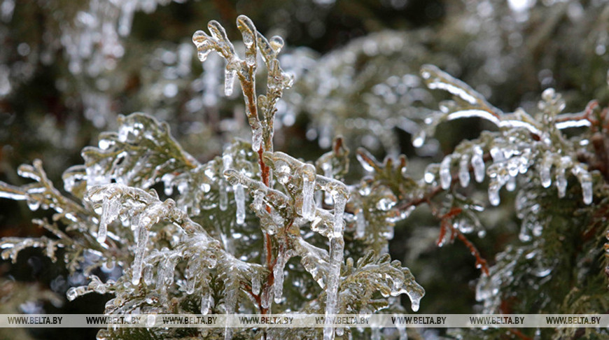 Фото из архива