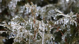 Фото из архива