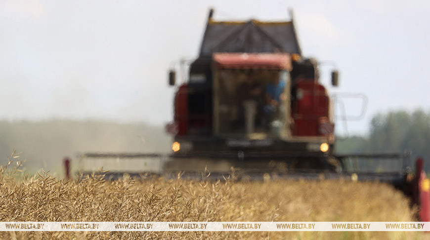 Фото из архива