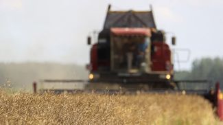 Фото из архива