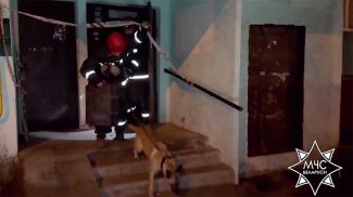 Скриншот видео МЧС