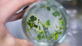 Фото из архива