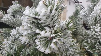 Фото из архива