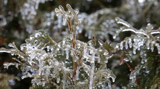 Фото из архива