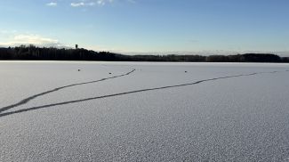 Фото Минской городской организации ОСВОД